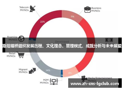 斯坦福桥组织发展历程、文化理念、管理模式、成就分析与未来展望
